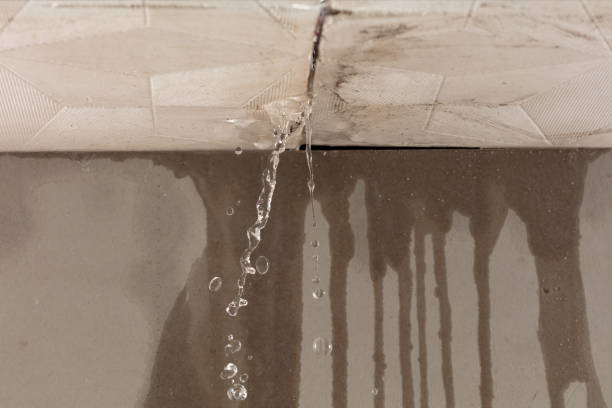 Professional Structural Drying technician working in Holly Springs, MS